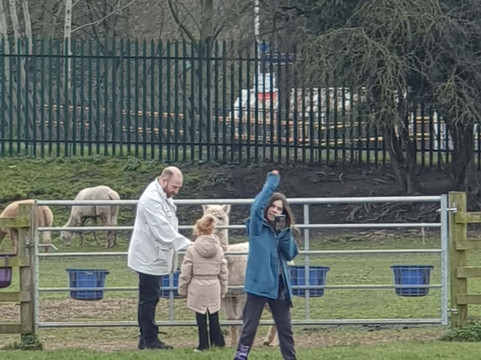 Willow Tree Family Farm-Shirebrook必去景点