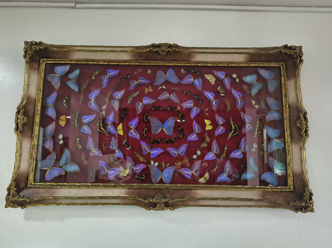 Museo Internacional De La Esmeralda-波哥大必去景点