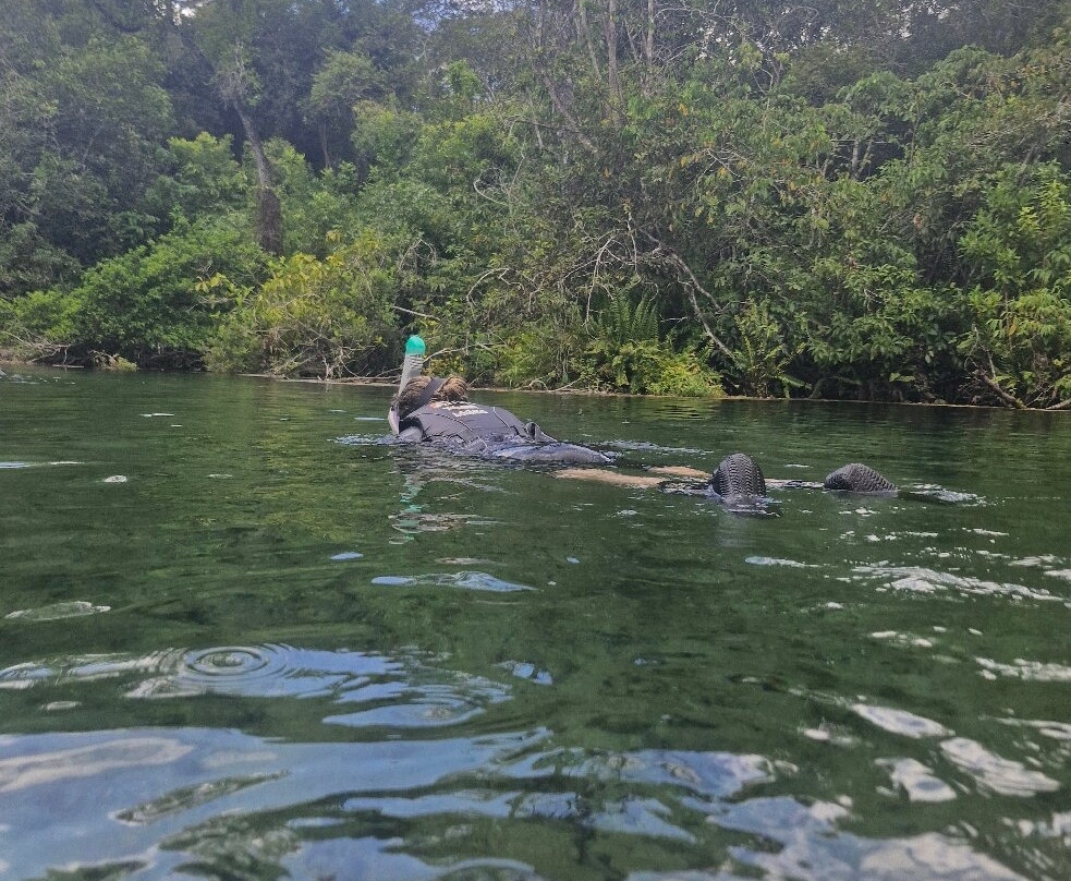 Recanto Ecologico Rio da Prata-博尼图必去景点