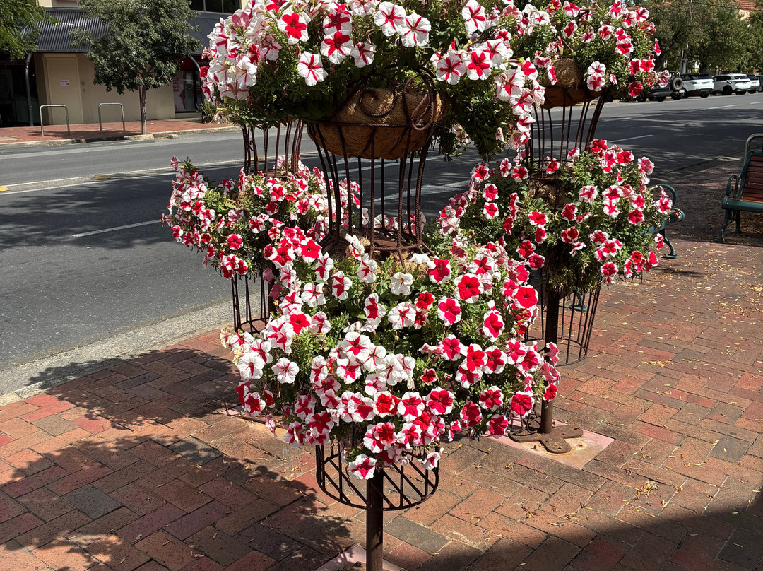 Melbourne Street-North Adelaide必去景点