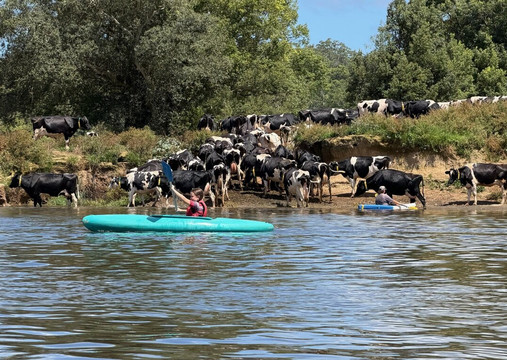 Bellingen Canoe Adventures-贝林真必去景点