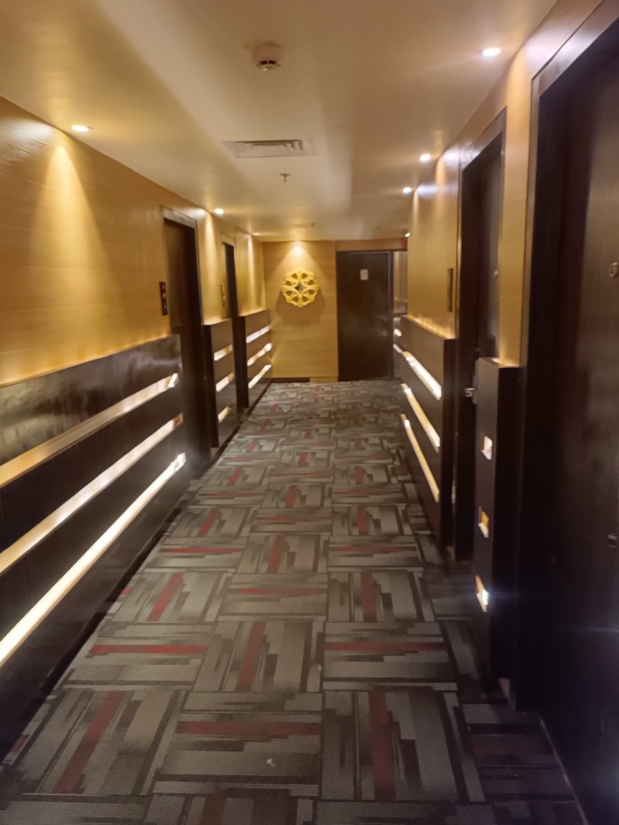 Vatika Premier Hotel-客卧