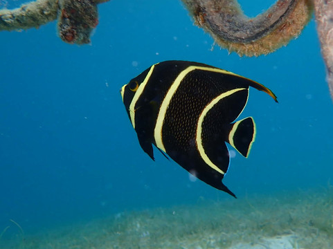 St.Thomas Adventures-圣 托马斯必去景点