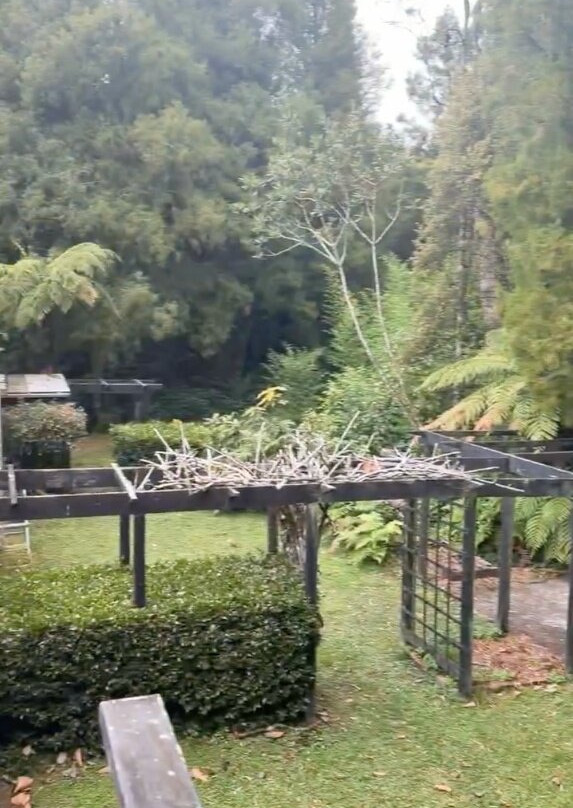 特波波花园乡村度假屋主图