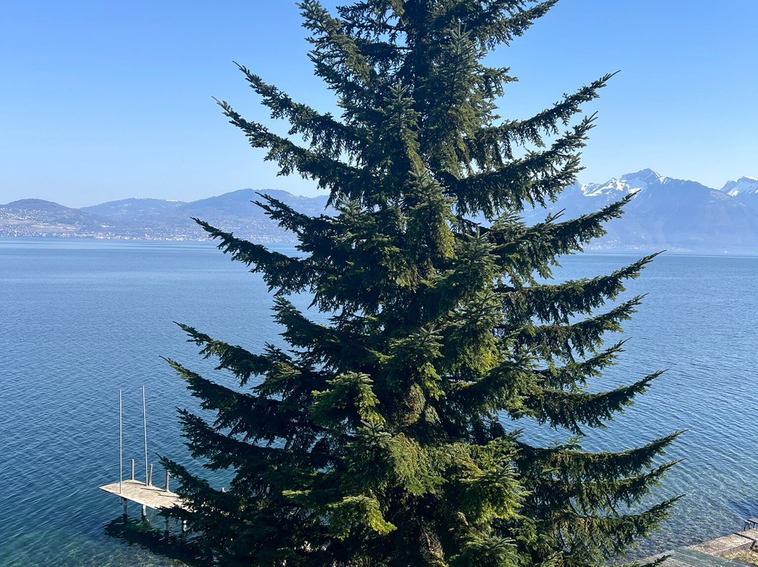 乐莱蒙酒店主图