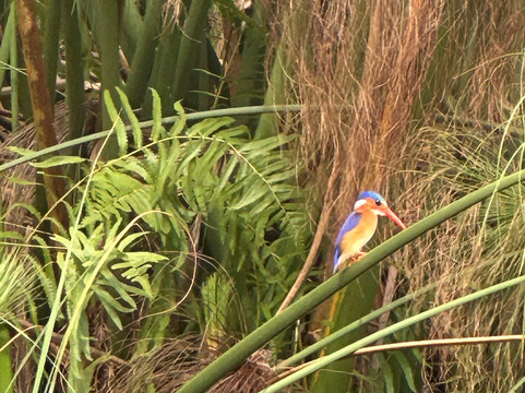 Safari Specialists-马翁必去景点