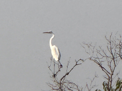 BOUT INDIA TOURS-斋蒲尔必去景点