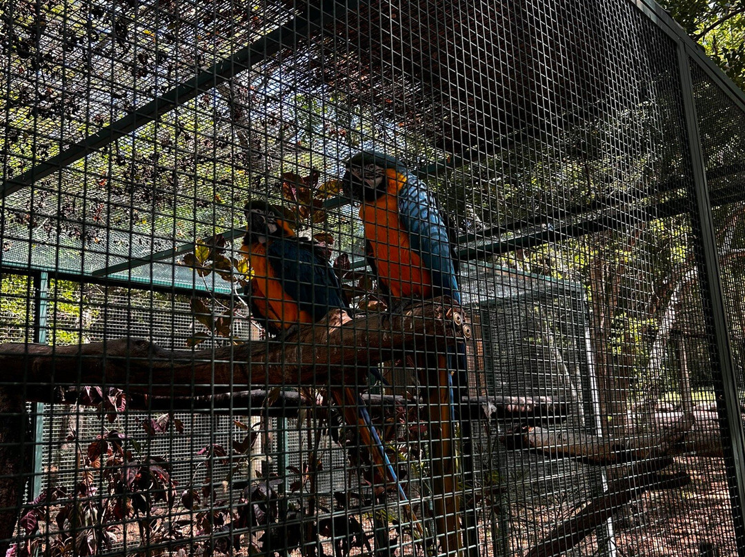 Zoo Parc De La Réunion-Etang Sale Les Bains必去景点