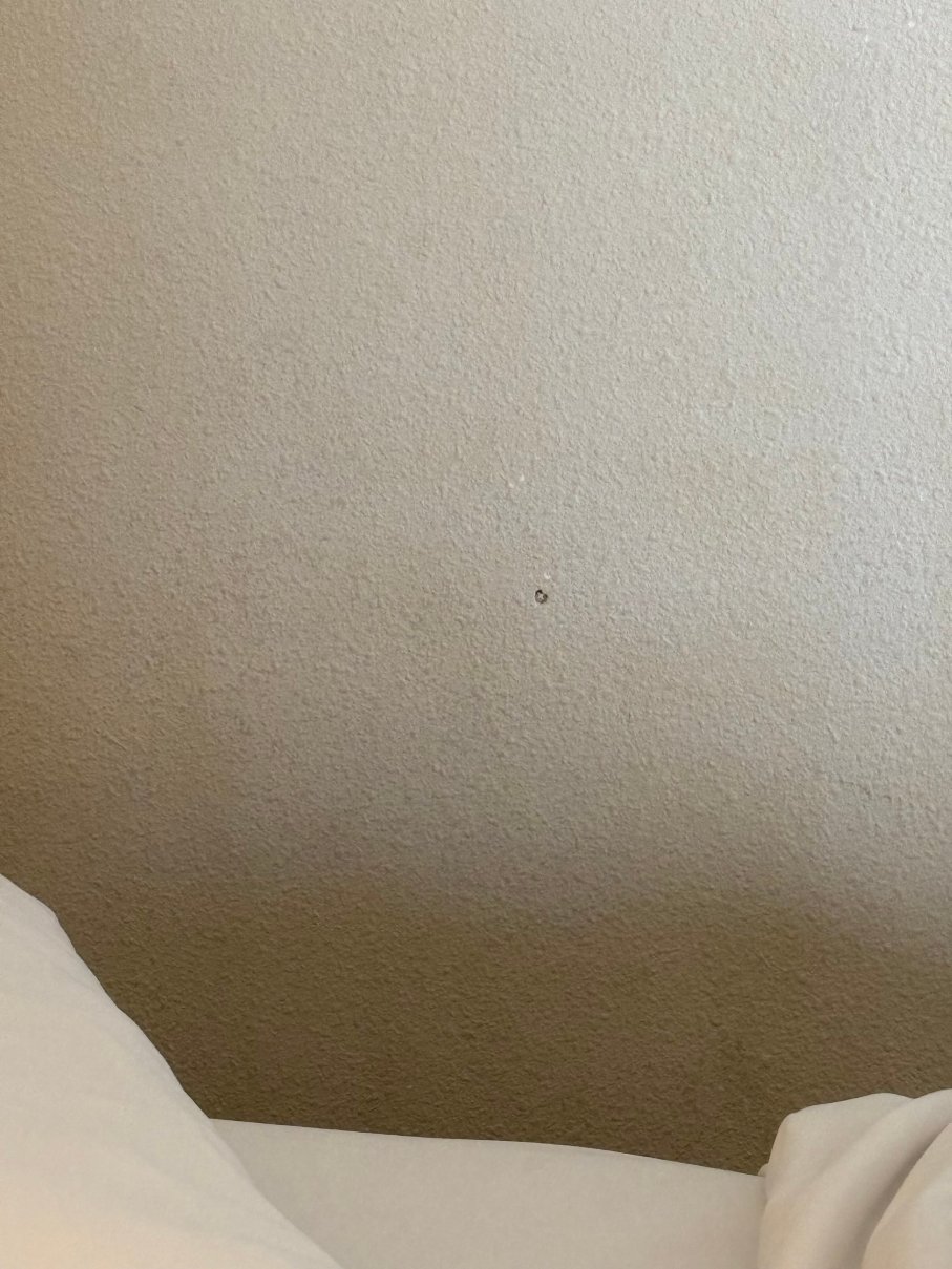 密苏里内华达丽怡酒店-客卧