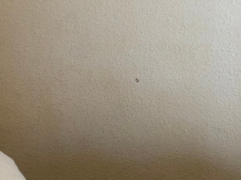 密苏里内华达丽怡酒店主图