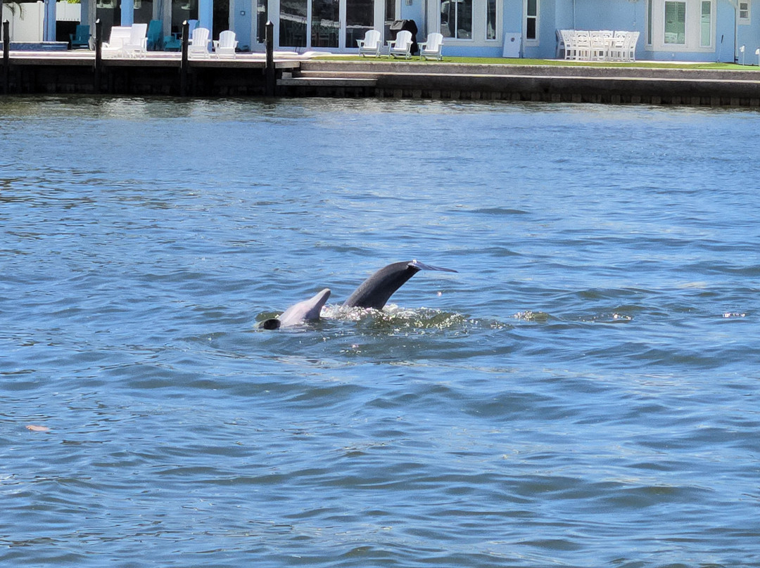 Paradise Boat Tours-Bradenton Beach必去景点