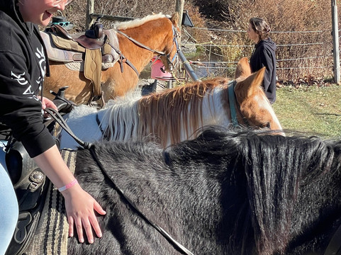 Mountain Creek Riding Stable-Cresco必去景点
