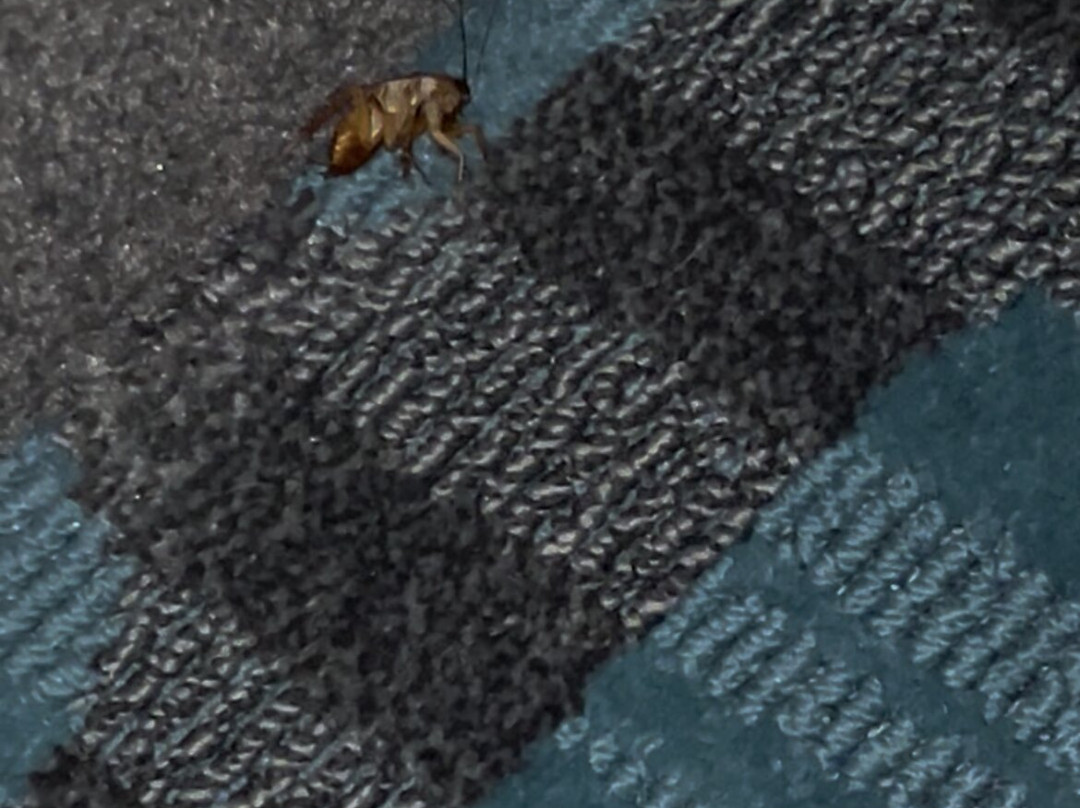 塔彭斯普林斯南凯艺套房酒店主图