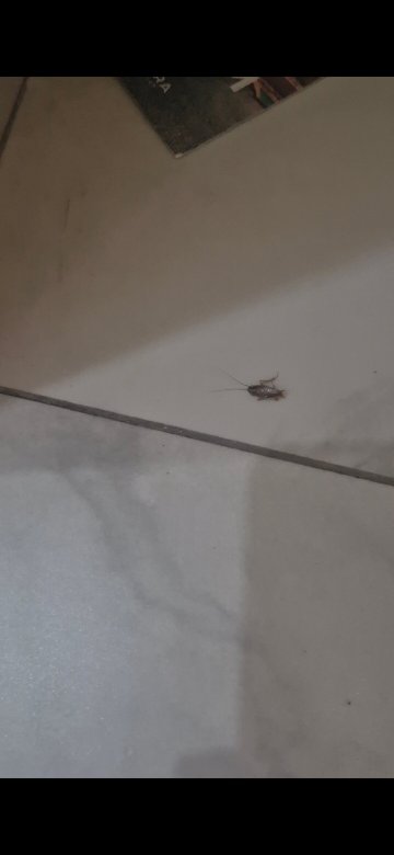 里维埃拉温泉度假村-限成人-客卧