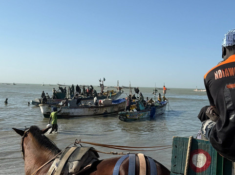 Happy Excursions Senegal-莫布瓦必去景点