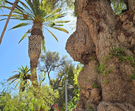 Plaza Prat-Copiapo必去景点