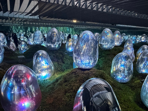 teamLab Planets TOKYO-Toyosu必去景点