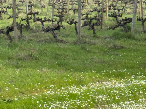 Tapada de Coelheiros-Igrejinha必去景点