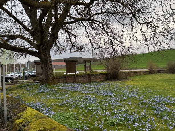 克洛斯特穆尔兰迪伊尔酒店-官方