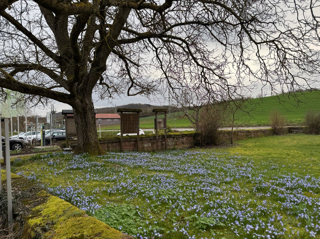 克洛斯特穆尔兰迪伊尔酒店主图