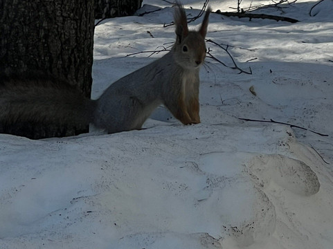 Gorky Central Amusement Park-彼尔姆必去景点