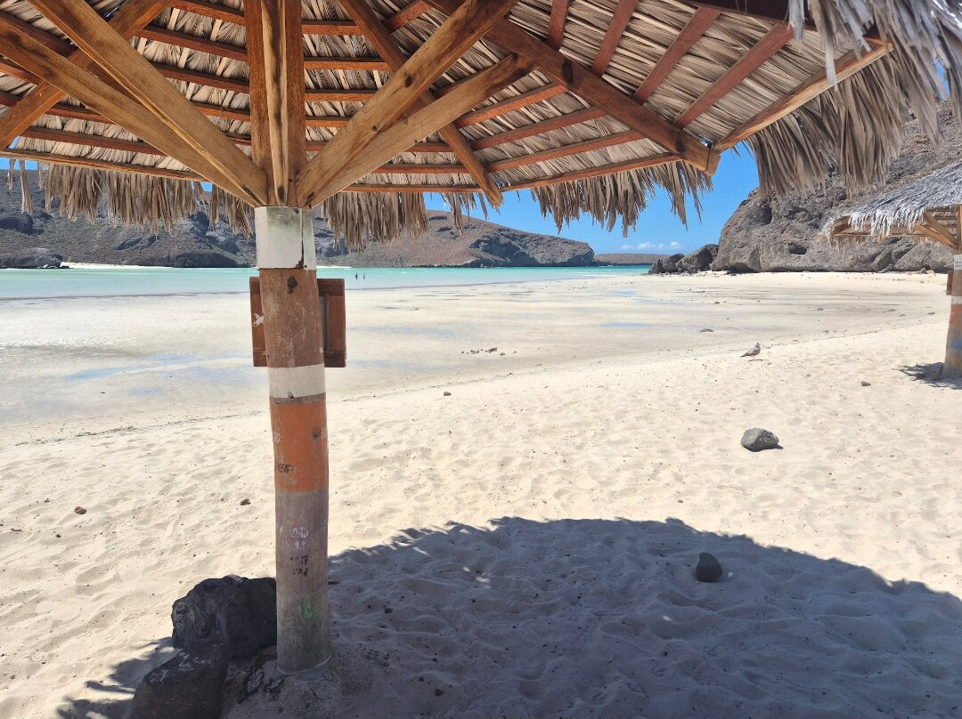 Baja California Travel-拉巴斯必去景点