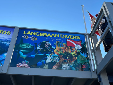 Langebaan divers