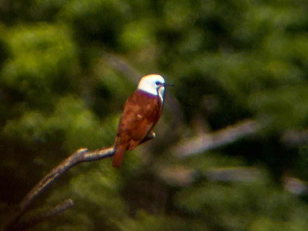 Finca Ecologica San Luis-蒙特沃德必去景点