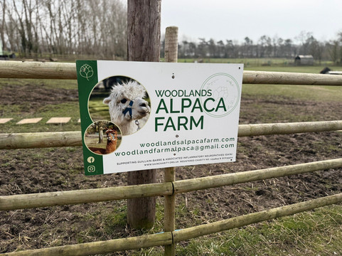 Woodlands Alpaca Farm-沃灵顿必去景点