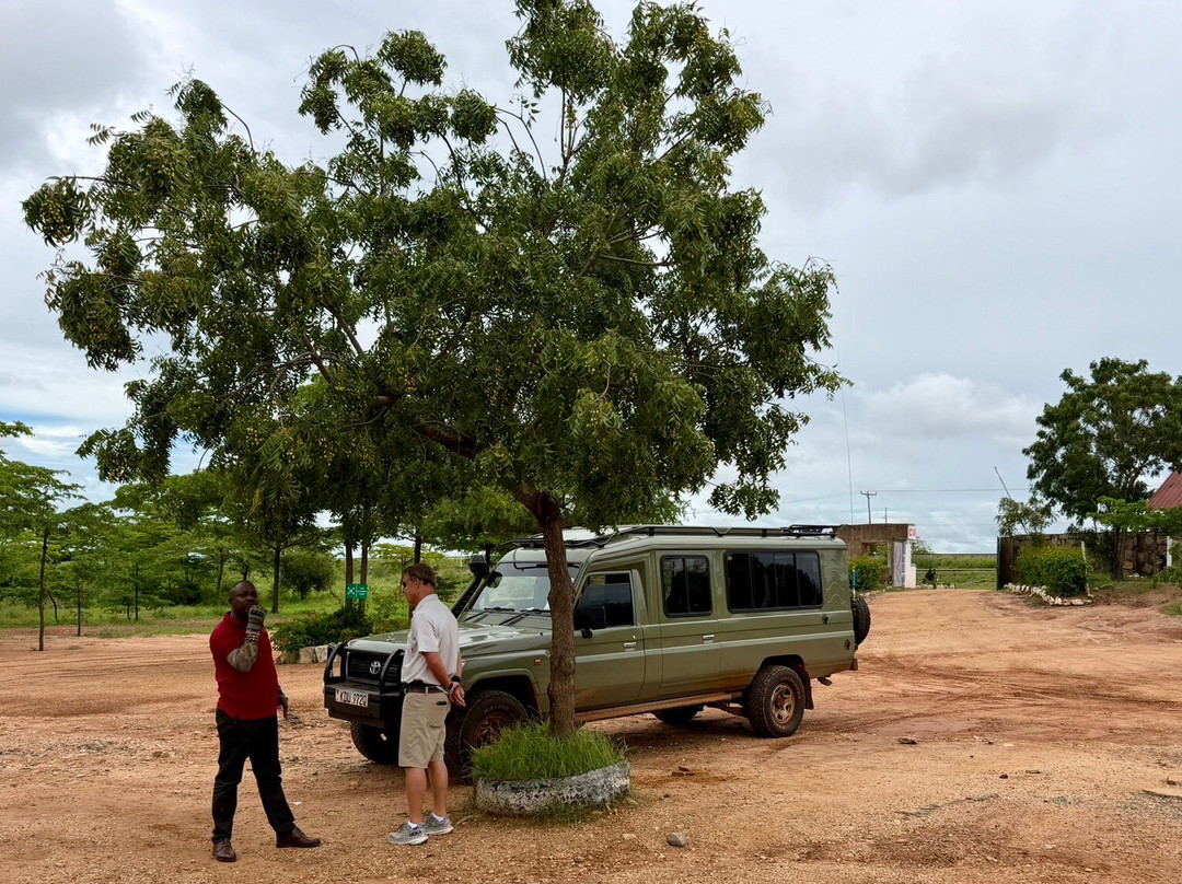 Safari Desire-Sekenani必去景点