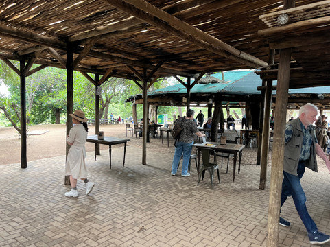 Tshokwane Picnic Site-克鲁格国家公园必去景点