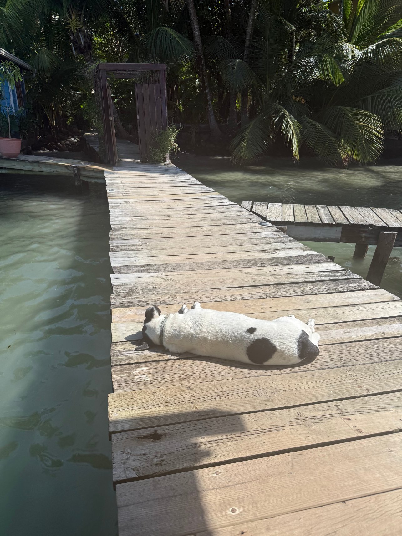 阿库里奥民宿-官方