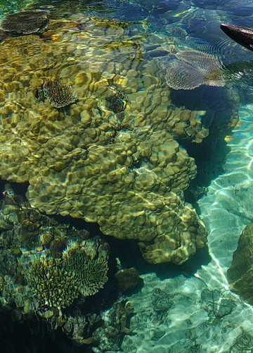 TOGEAN VOYAGES-Togean Island必去景点