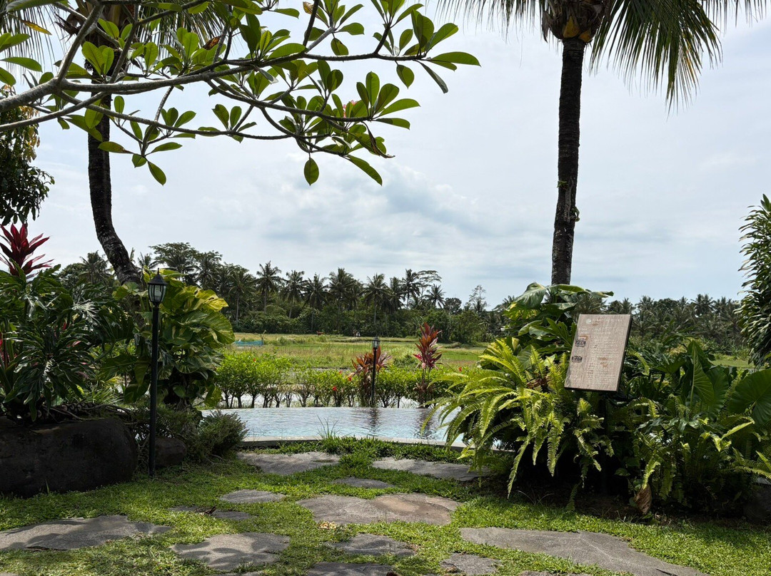 Lasati Spa-Peliatan必去景点
