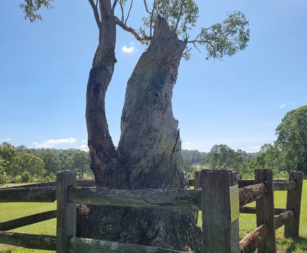 Ebenezer Church-Ebenezer必去景点