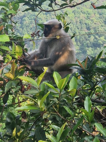 怀尔德内斯特天然度假村-官方