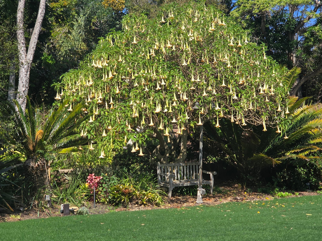 San Diego Botanic Garden-恩西尼塔斯必去景点