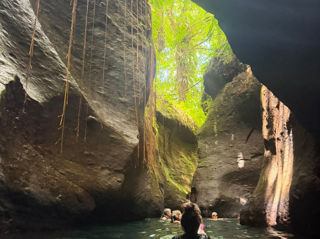 Nature Isle Explorer Day Tours-罗索必去景点