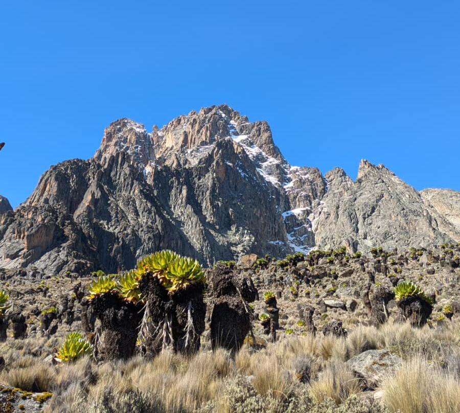 Ahambi Tours-南由基必去景点