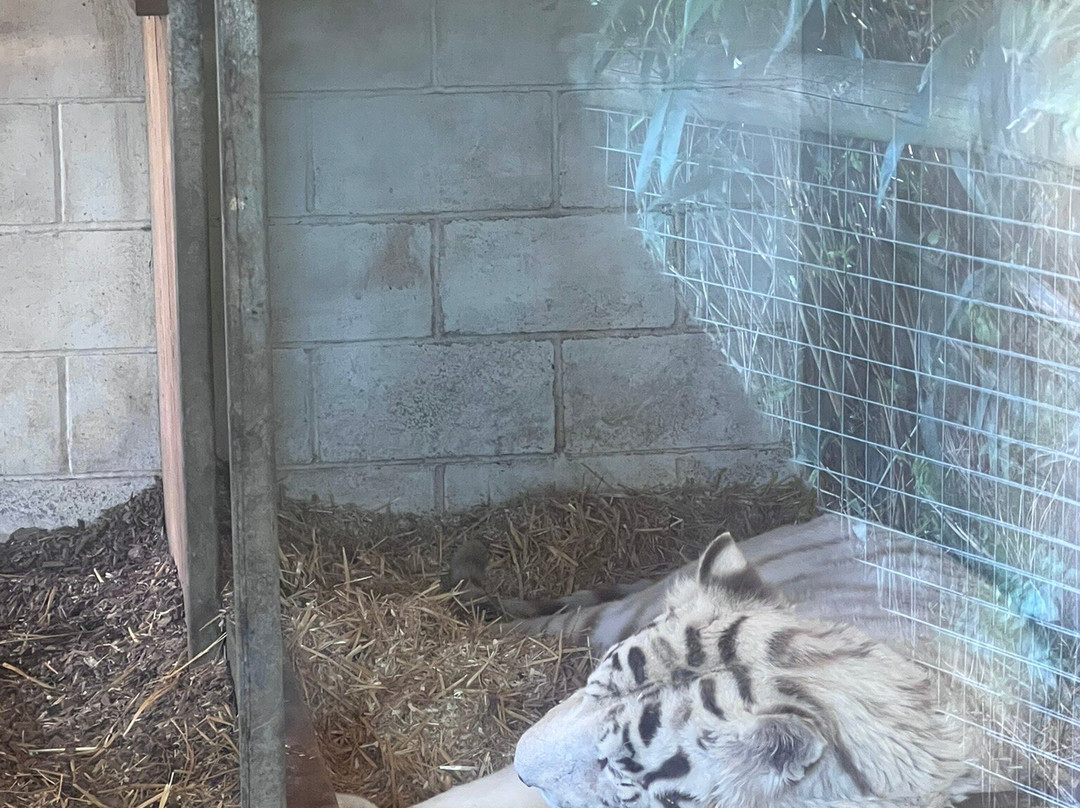 Hamerton Zoo Park-Sawtry必去景点