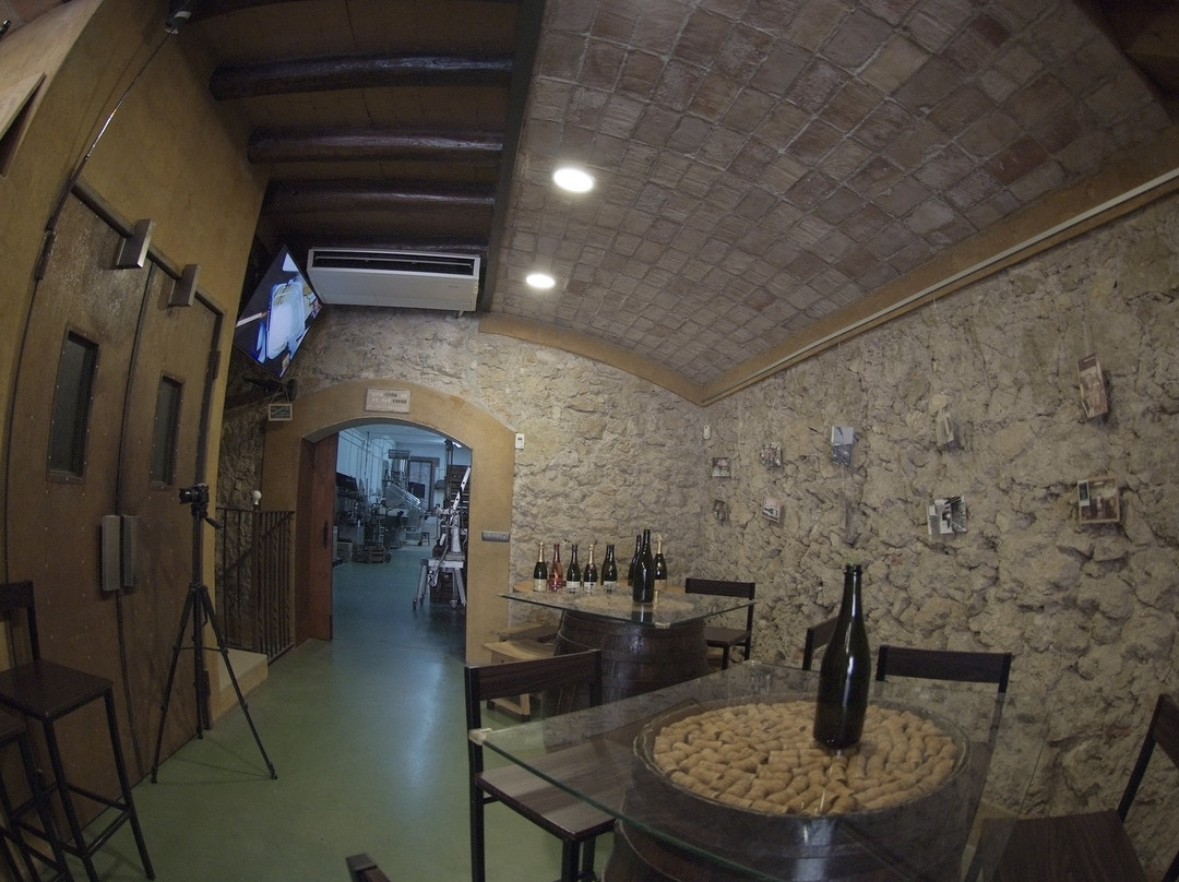 Cava Sola Raventos-桑特萨杜尔尼达诺亚必去景点