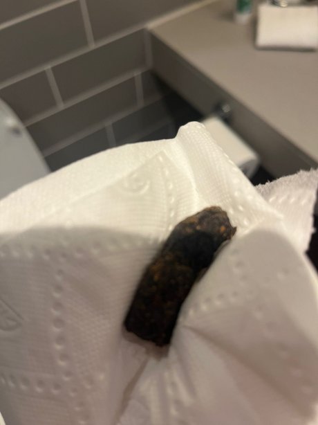 斯劳居家酒店-官方