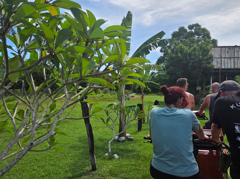 Ecotrax Fiji-辛加东卡必去景点