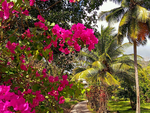 Vanibel-Vieux-Habitants必去景点