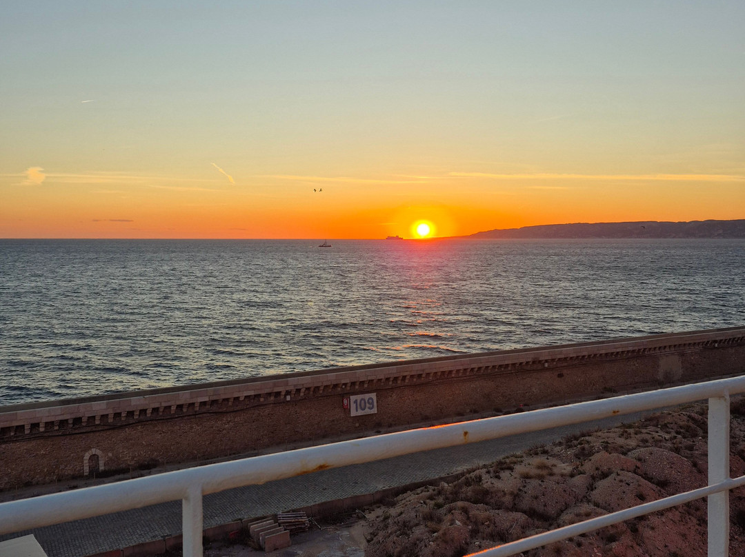 CORSICA Linea-阿雅克肖必去景点
