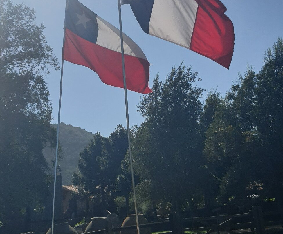 Viña Las Araucarias-Melipilla必去景点