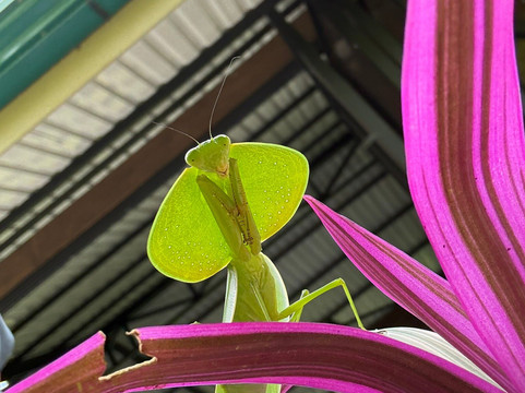 Destination Services CR-利比里亚必去景点