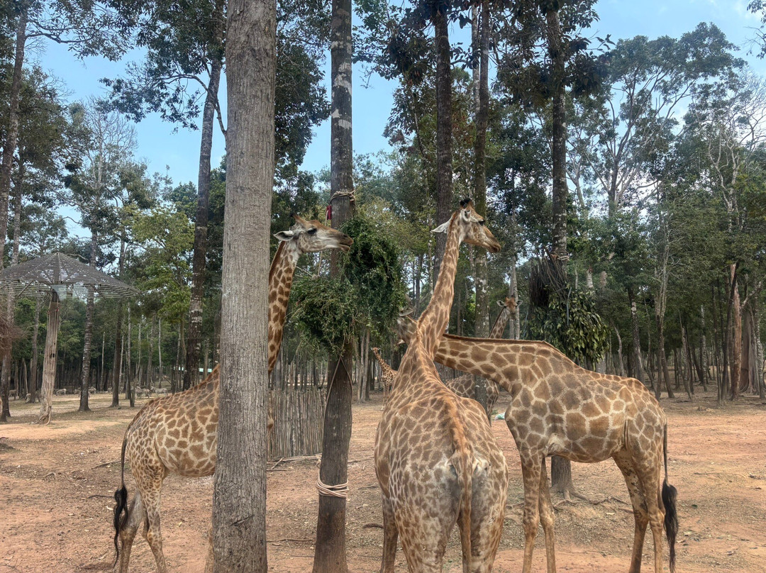 珍珠王国野生动物园-富国岛必去景点