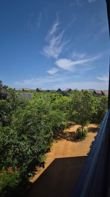 雅拉希尔顿度假村-官方