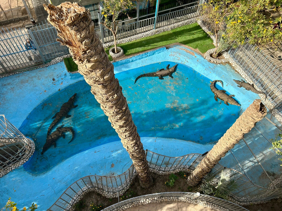 Hurghada Grand Aquarium-赫尔格达必去景点